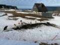 IMG_20220406_093449
