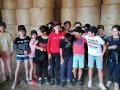 IMG_20220627_102727