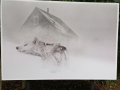 IMG_20211021_120345