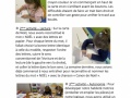 PS_Cahier-devie_11_page_1
