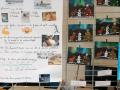 IMG_20220502_161516