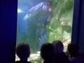 20190613_110022