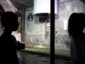 20190613_113354