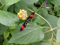 20190613_132233
